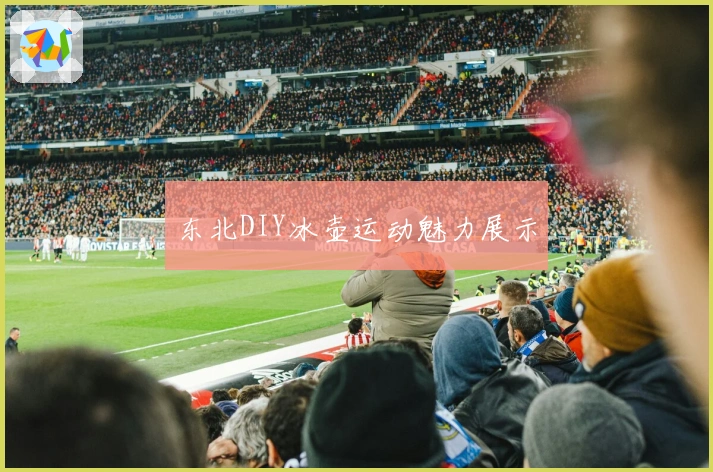 东北DIY冰壶运动魅力展示